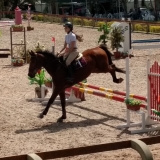 cavalinhos