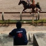 cavalinhos