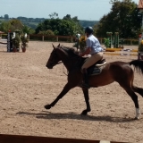cavalinhos