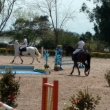 cavalinhos