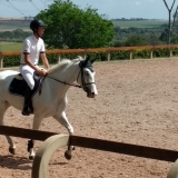 cavalinhos