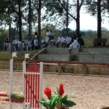 cavalinhos