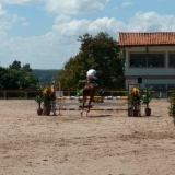 cavalinhos