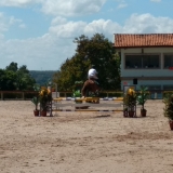 cavalinhos