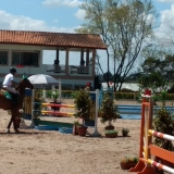 cavalinhos