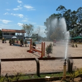 cavalinhos