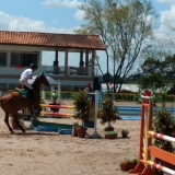 cavalinhos
