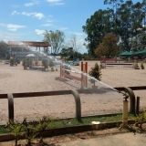 cavalinhos