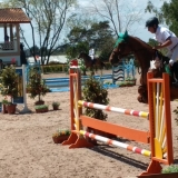 cavalinhos
