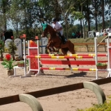 cavalinhos