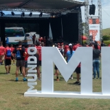 MITFINAL2019