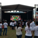 MITFINAL2019
