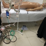 ecmo