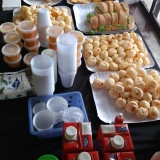 ecmo